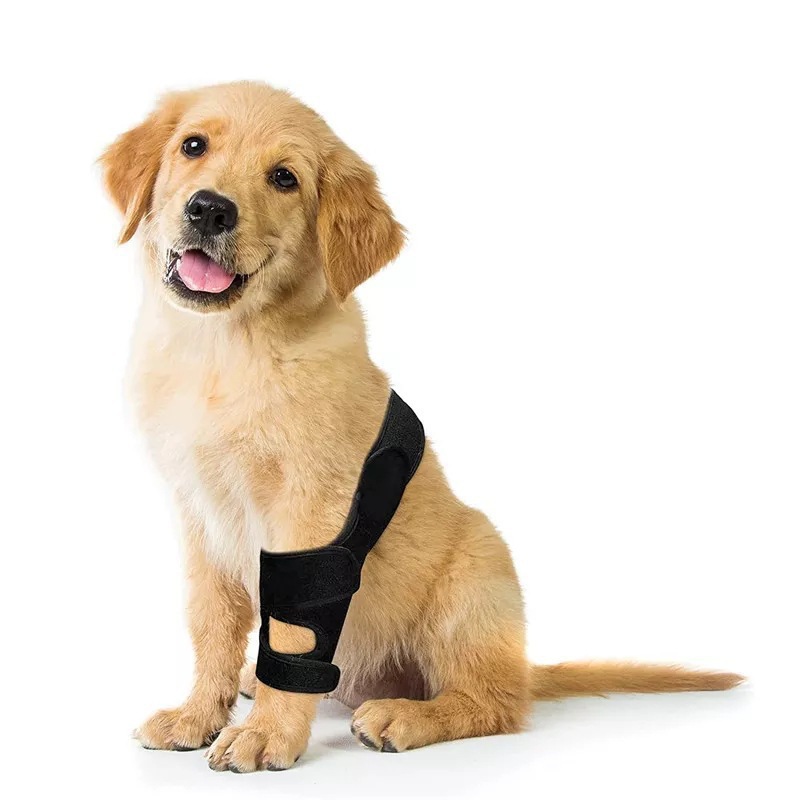 Adjustable Pet Dog Knee Brace  - Car Accessories For Elderly 评论和价格