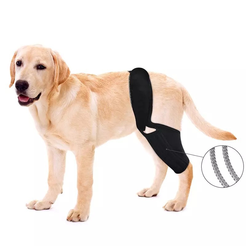 Adjustable Pet Dog Knee Brace  - Car Accessories For Elderly 评论和价格