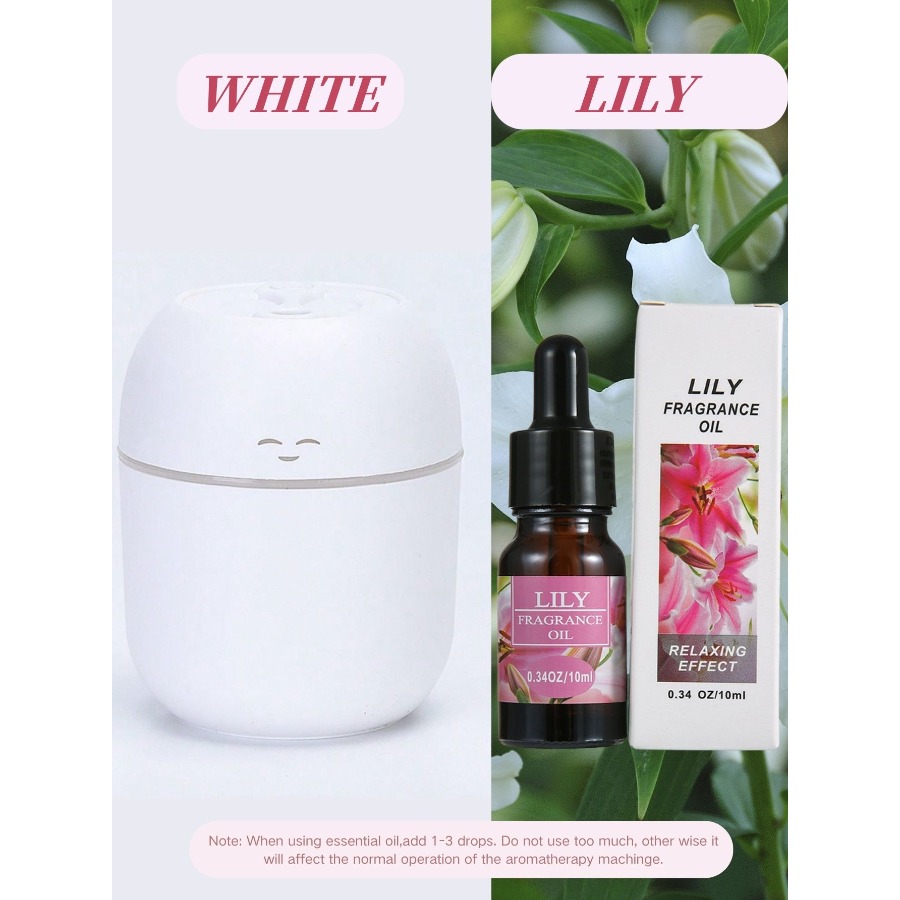 220ML USB Mini Aroma Diffuser  - Car Fragrance Diffuser 评论和价格